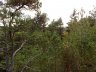 04102007121 NW.jpg - Dørødveien 8. Bilder tatt oppe fra fjellet bak huset mitt. Dette er ca. mot NW